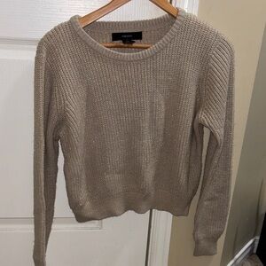 Brown Sweater (has gold glittery fabric)